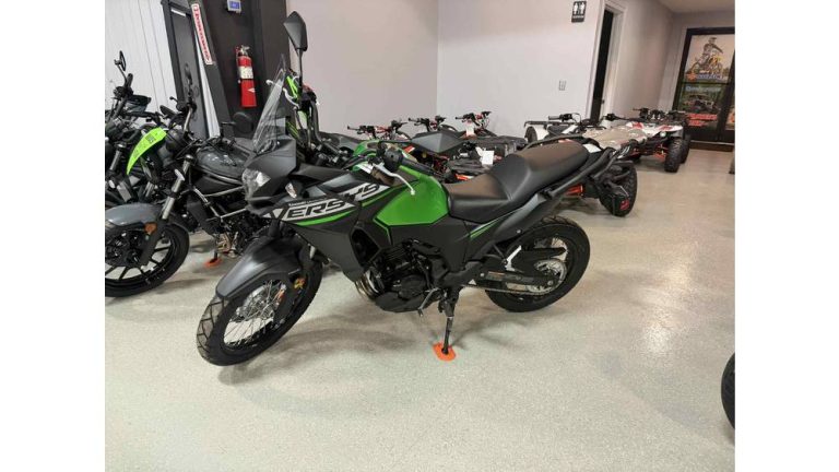 Kawasaki Versys X 300