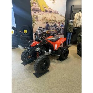 Can-Am DS 250 ATV for sale