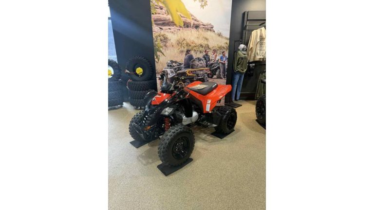 Can-Am DS 250