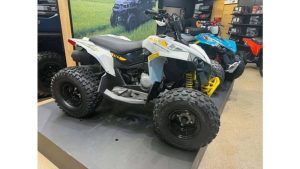 Can-Am RENEGADE 110 EFI ATV for sale