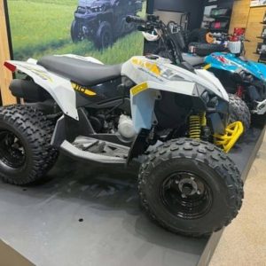 Can-Am RENEGADE 110 EFI ATV for sale